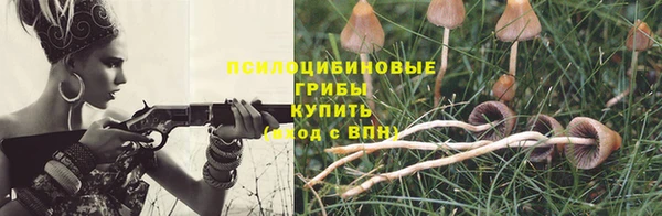 таблы Горнозаводск
